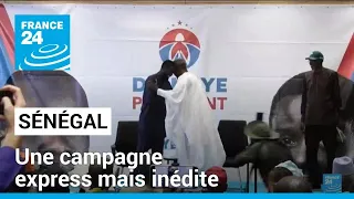 Sénégal: la libération d’Ousmane Sonko et de Bassirou Diomaye Faye relance la campagne