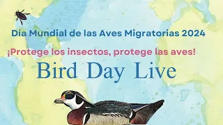 Bird Day Live - Día Mundial de las Aves Migratorias 2024
