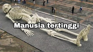 MENGEJUTKAN.. Inilah manusia tertinggi di dunia