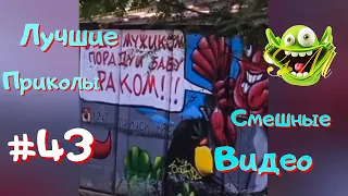 ЛУЧШИЕ ПРИКОЛЫ / СМЕШНЫЕ ВИДЕО #43