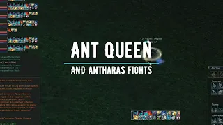la2era || Ant Queen and Antharas || c4 x1