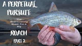 A Perpetual Pursuit | Part:2 | Roach fishing | Loch Lomond