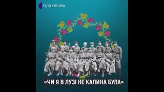 Історія створення пісні Червона калина 1914