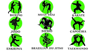 Every GREAT MARTIAL ART STYLE explained in 10 minutes