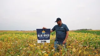 BLUE RIVER 2418N SOYBEANS | 2.4 RM | ALBERT LEA SEED