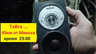 Радиоприёмник Невский 1980 г. Приём на СВ и КВ . Лес ,Тайга -  45 км от г. Минска . Время 23:00 .