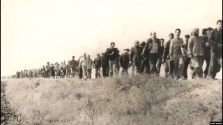 «Таманский поход» - уникальная акция крымских татар в1987 г.