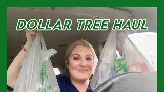 Dollar Tree Haul #haul #dollartreehaul #dollartreeshopping #shopping #dollartwentyfivetree