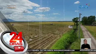 Banta ng El Niño, malaking dagok para sa sektor ng agrikultura | 24 Oras