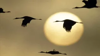 OST Sandglass - Zhuravli (Cranes) - Iosif Kobzon