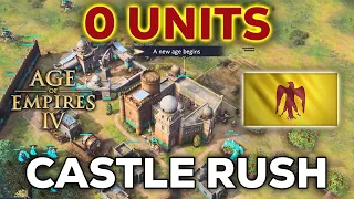 How to Play Ayyubids Castle Rush in 2024 AOE4?