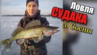 Где ловить СУДАКА зимой в КИЕВЕ??? Залив СОСНЫ