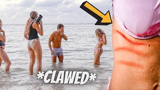 Abby got clawed in the ocean *accident*