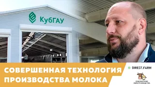 Совершенная технология производства коровьего молока. Учхоз "Краснодарское" делится опытом