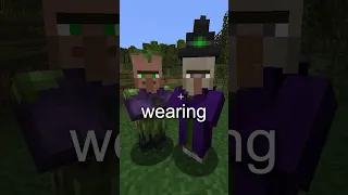 What Is The Swamp Villager In Minecraft?