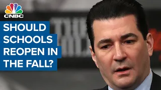 Former FDA chief on whether schools should reopen in the fall