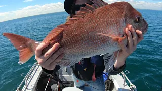 (DAY 2) Post lockdown camping on a Tinny in Port Phillip Bay!