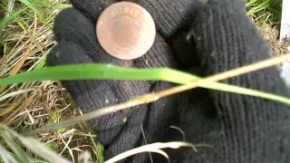 Поиск монет июнь 2015.Овраг и склон за деревней.