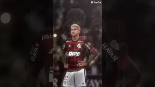 Pedro Flamengo #edit