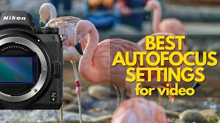BEST Nikon Z6 Autofocus Settings-Z6II/Z7/Z7II