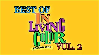In Living Color: Best of Season 01 - Vol. 2