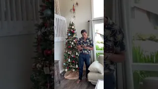 I’ll Be Home for Christmas - Kaleo Vai ukulele