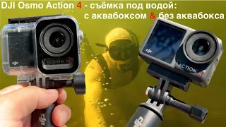 DJI Osmo Action 4 подводные съёмки. DJI Osmo Action 4 аквабокс: Сравнение подводных съёмок аквабокс