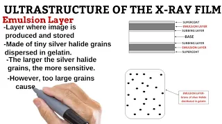 8. Layers of the X-Ray Film RADIOGRAPHIC IMAGING