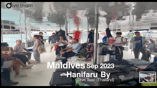 Diving In Maldives Hanifaru Sep 2023