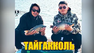 Озеро ТАЙГАККОЛЬ