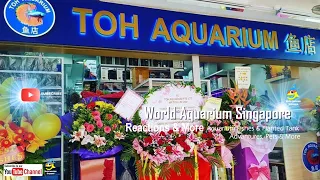 Toh Aquarium Fish Shop Tour, Community Fishes, Goldfishes, Monster Fishes, Aquatic Pets, Part 1