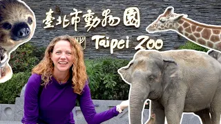 Is Taipei Zoo worth visiting? (+Raohe Street Food!)