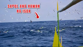 GRABE !! SOBRANG KAPAL NG KAWAN NG ISDA | 81 KILOS SA ISANG ARAW LANG | SUNOD SUNOD ANG DAWI