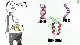 Что такое пионы?