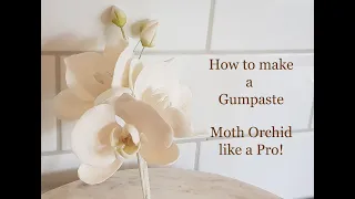 How to make a gumpaste Moth Orchid like a Pro!