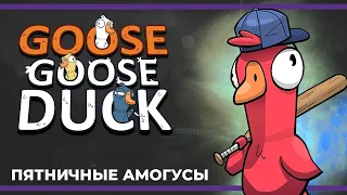 Пятничные амогусы | Eville и Goose Goose Duck (12.01.2024)