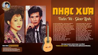 Album Sầu Tím Thiệp Hồng - GIAO LINH & TUẤN VŨ | Nhạc xưa song ca để đời