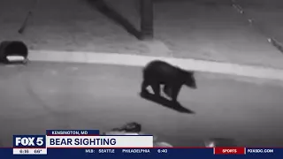 Bear caught on camera going through trash in Kensington neighborhood | FOX 5 DC
