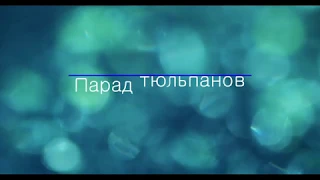 Парад тюльпанов в Никитском ботаническом саду 02.04.2020