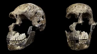 “Neo” Homo naledi lived alongside humans?