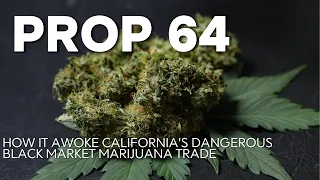 Prop 64: How it Awoke California's Dangerous Black Market Marijuana Trade..