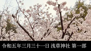 東京大衆歌謡楽団 令和五年三月三十一日 浅草神社 奉納演奏 第一部