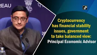 Crypto has financial stability issues, government to take balanced view: Principal Economic Advisor