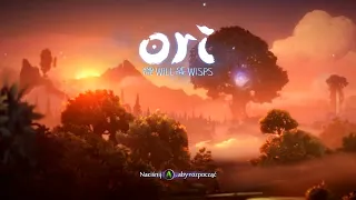 Ori and the Will of the Wisps | Recenzja