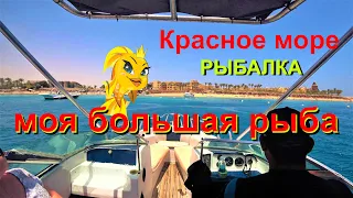 Морская рыбалка на Красном море. Отдых в Египте. В поисках большой рыбы на Красном море.