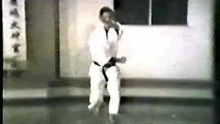 Heian Shodan Shotokai Karate-do