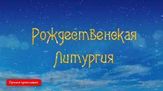 Прямая трансляция Рождественской Божественной литургии в Свято-Успенской Киево-Печерской лавре