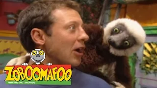 Zoboomafoo 205 - Pop Goes the Tiger (Full Episode)