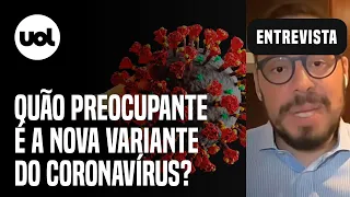Covid: Quão preocupante é a variante Eris do coronavírus? Pesquisador da Fiocruz tira dúvidas