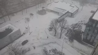 Снегопад. 1 марта в Харькове_видео ГородХ_1ч